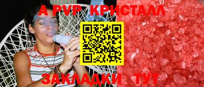 ECSTASY Камышлов