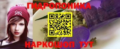 шишки Апрелевка