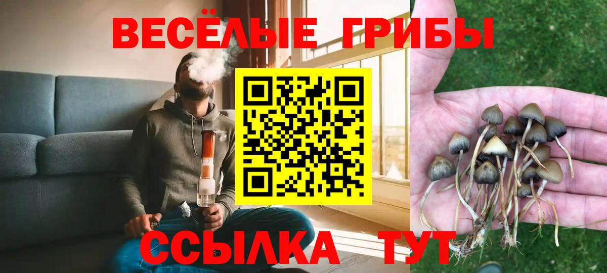 где найти наркотики  Галлюциногенные грибы Cubensis  Вход с VPN  Галлюциногенные грибы прущие грибы  Волжский 