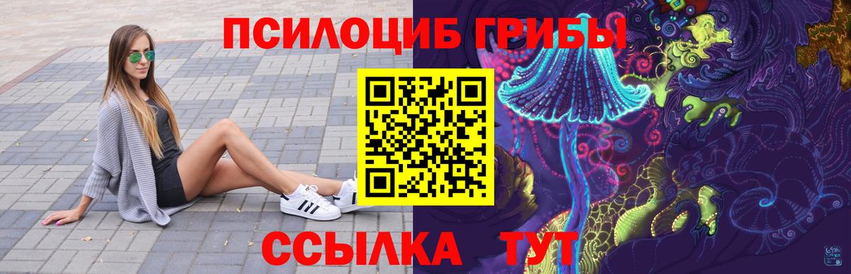 Псилоцибиновые грибы Psilocybine cubensis Волжский